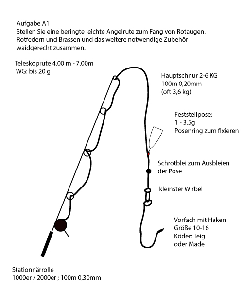 Skizze / Beschreibung Angelprüfung beringte , leichte Angelrute A1 zum Fang von Rotaugen, Rotfedern und Brassen