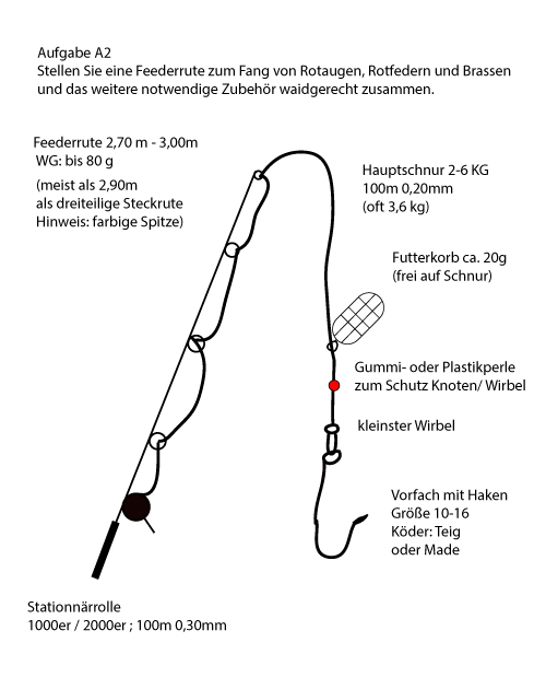 Skizze / Beschreibung Angelprüfung Feederrute A2 zum Fang von Rotaugen, Rotfedern und Brassen