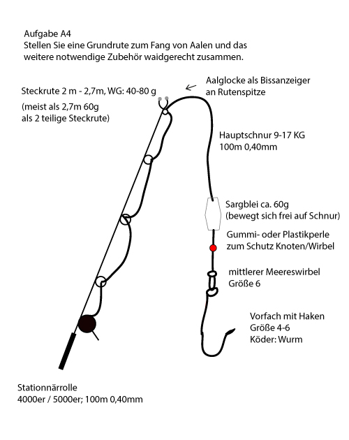 Skizze / Zeichnung für die Angelprüfung | Angelrute A4 | Grundrute Fang von Aalen