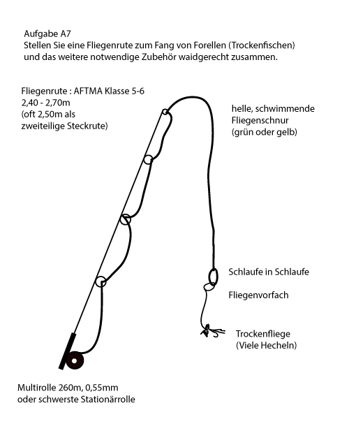 Skizze / Beschreibung Angelprüfung Fliegenrute A7 Trockenfischen zum Fang von Forellen.