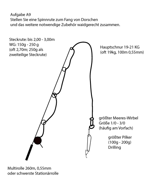 Skizze / Beschreibung Angelprüfung Pilkrute A9 zum Fang von Dorsche.